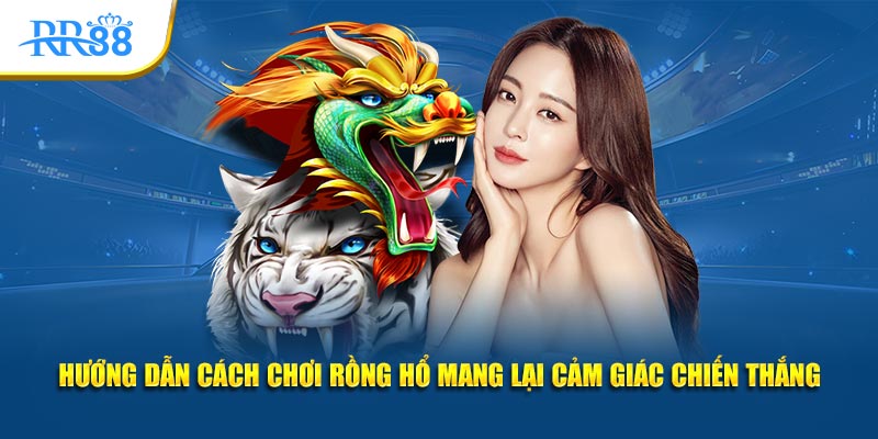 Hướng dẫn cách chơi Rồng Hổ mang lại cảm giác chiến thắng